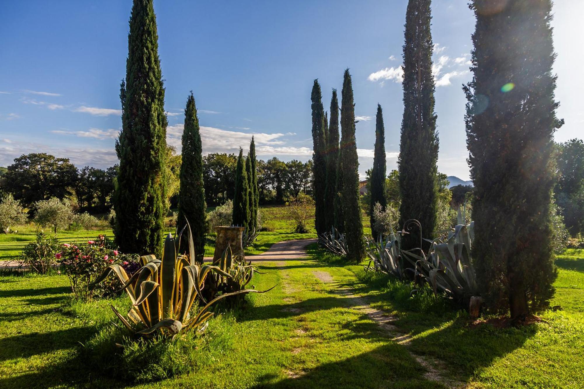 Agriturismo Bio Fattoria Casetta Gavorrano Ngoại thất bức ảnh