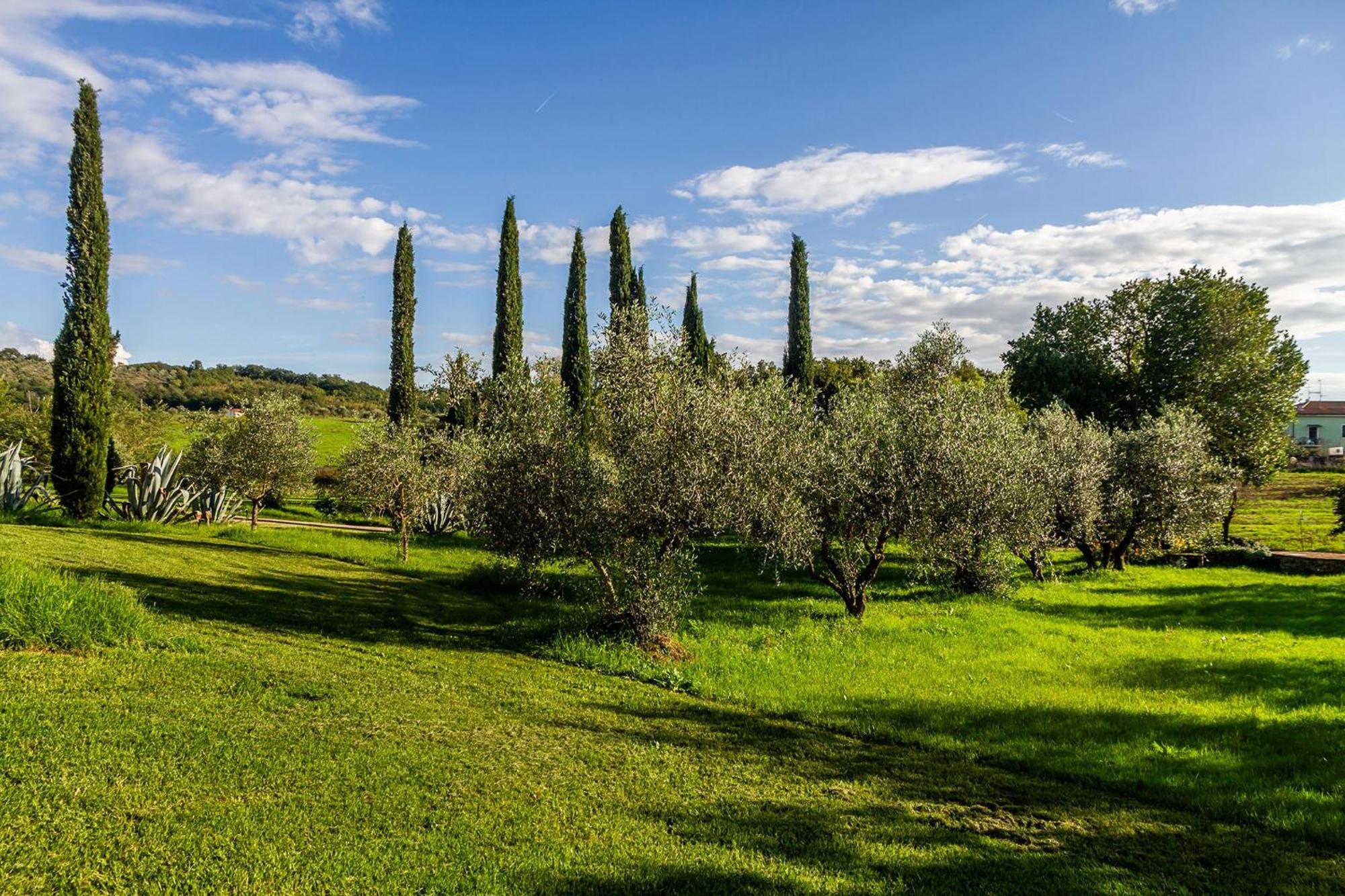 Agriturismo Bio Fattoria Casetta Gavorrano Ngoại thất bức ảnh