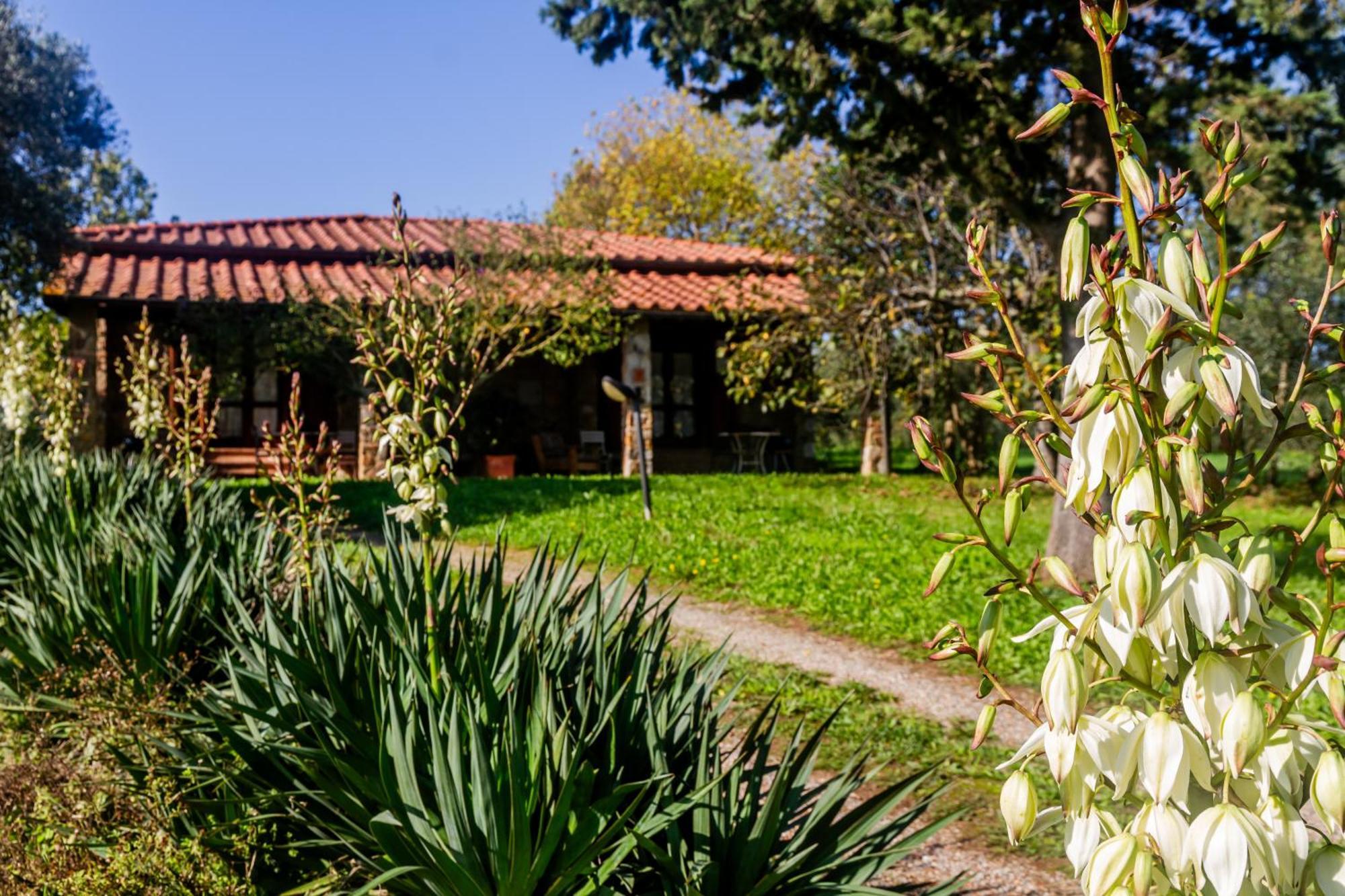 Agriturismo Bio Fattoria Casetta Gavorrano Ngoại thất bức ảnh