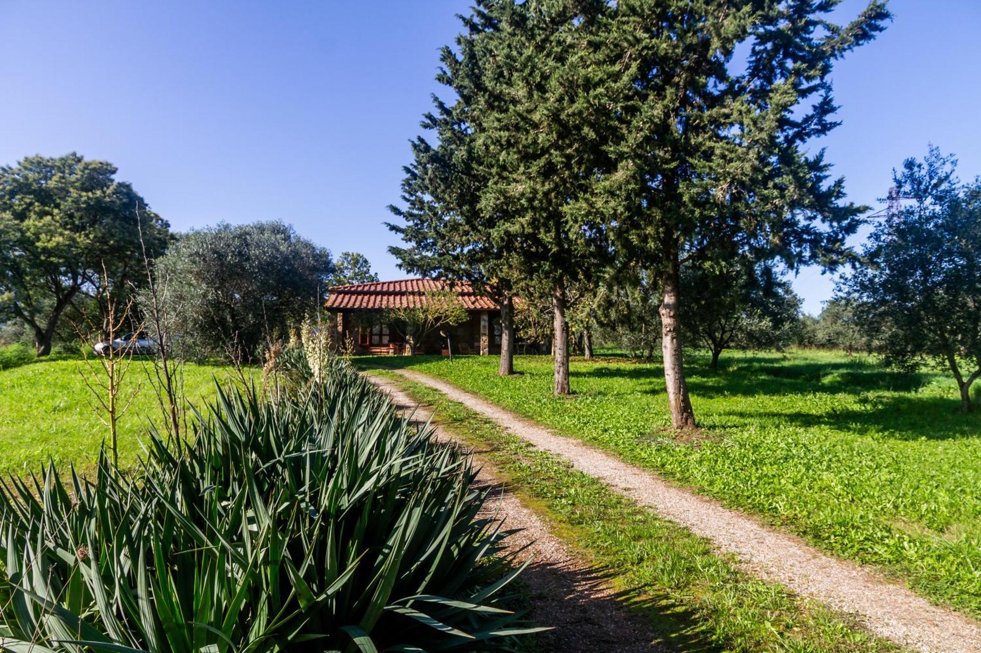 Agriturismo Bio Fattoria Casetta Gavorrano Ngoại thất bức ảnh